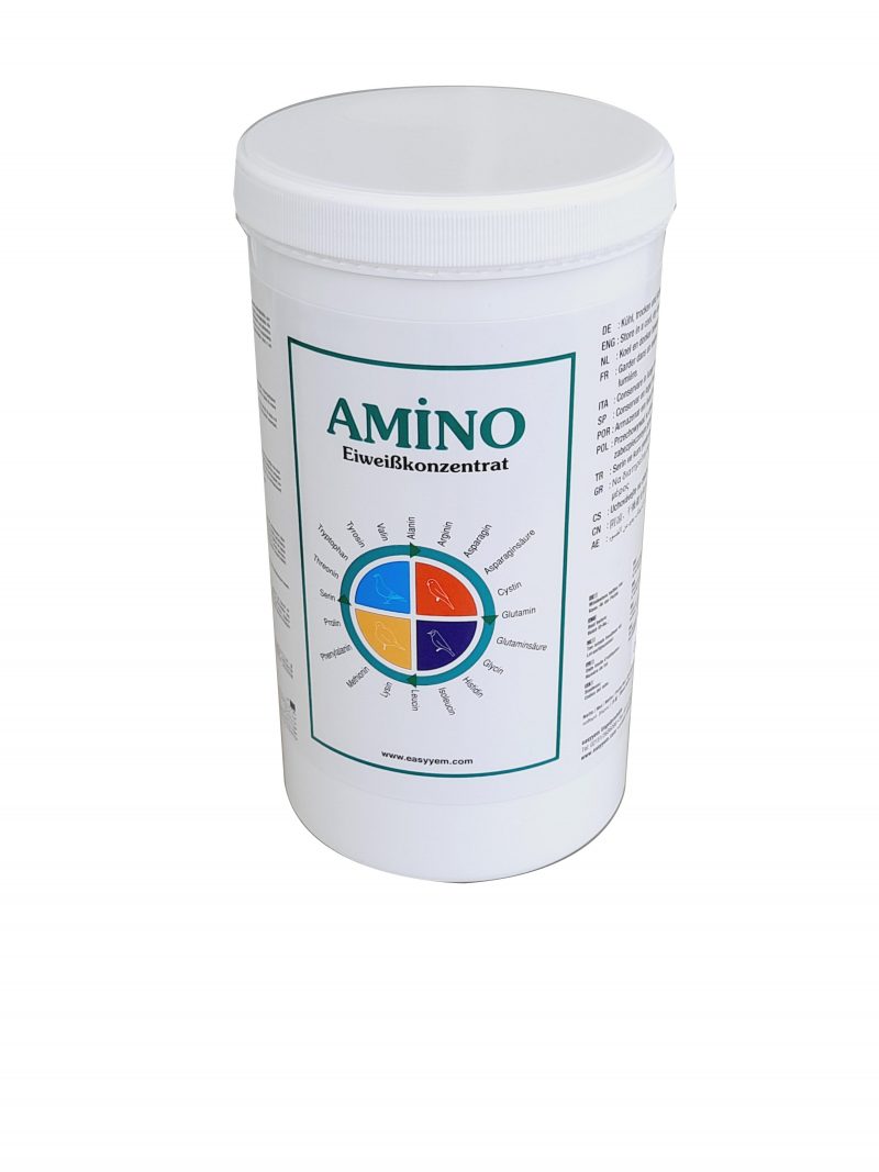 AMINO
