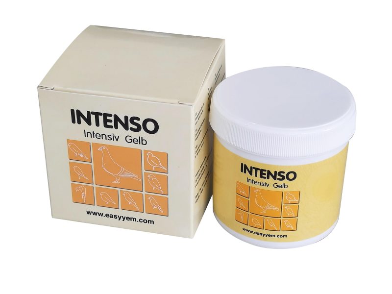 INTENSO